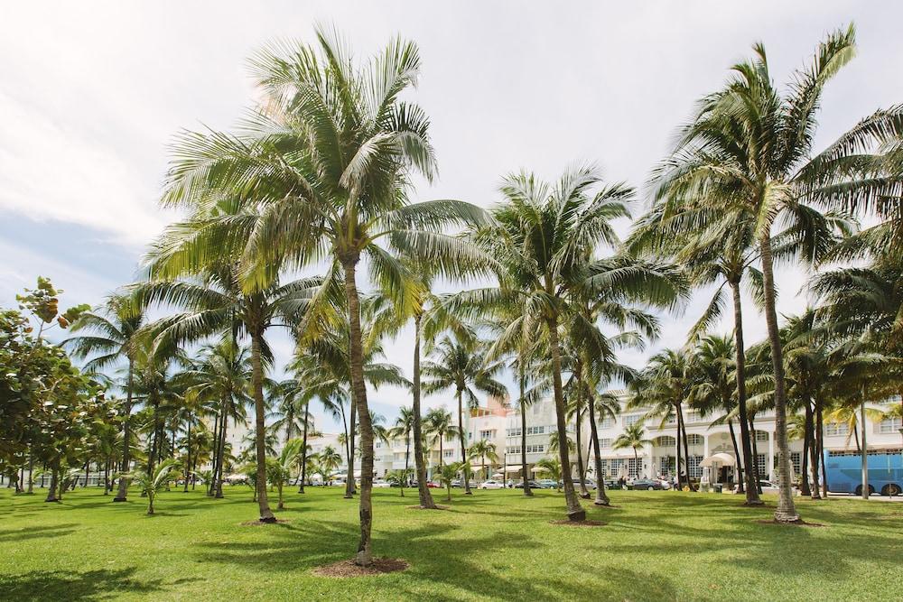 Cardozo Hotel Miami Beach Exterior foto